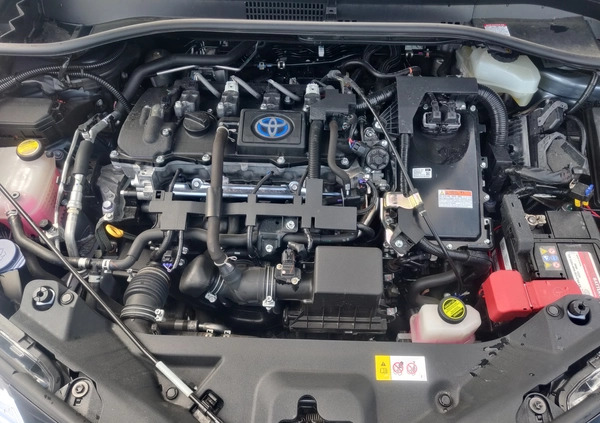 Toyota C-HR cena 89900 przebieg: 33000, rok produkcji 2020 z Ostrołęka małe 667